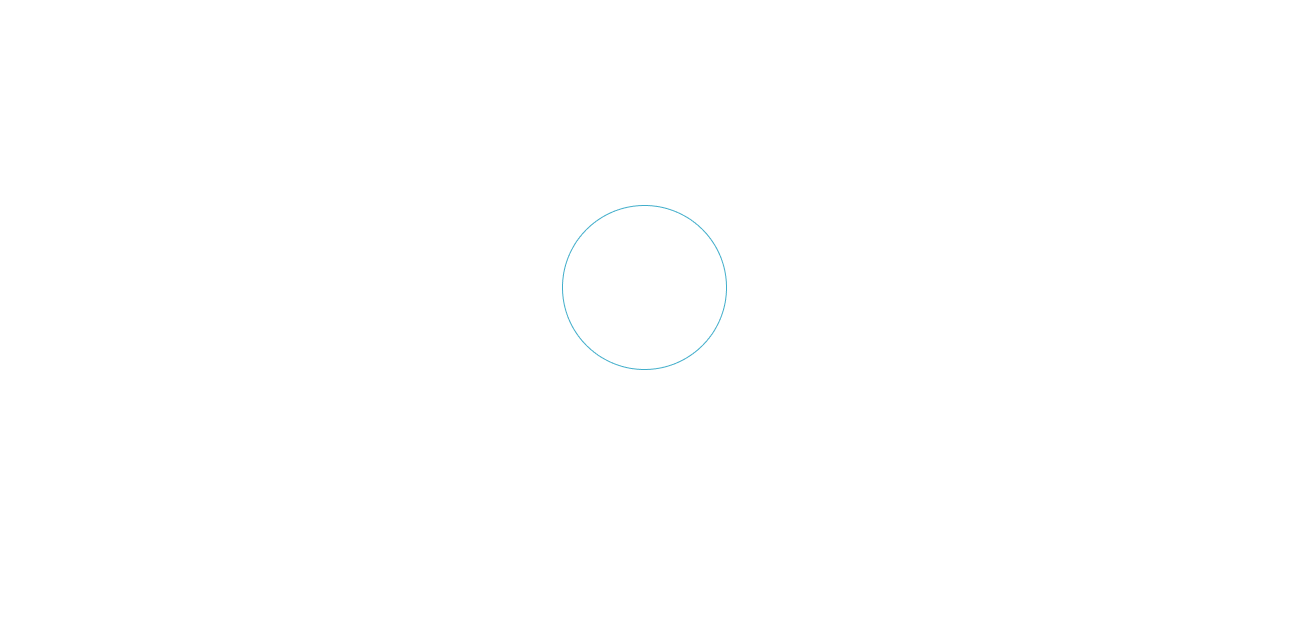 AI엔진 AiiVA의 대표 기능 8가지